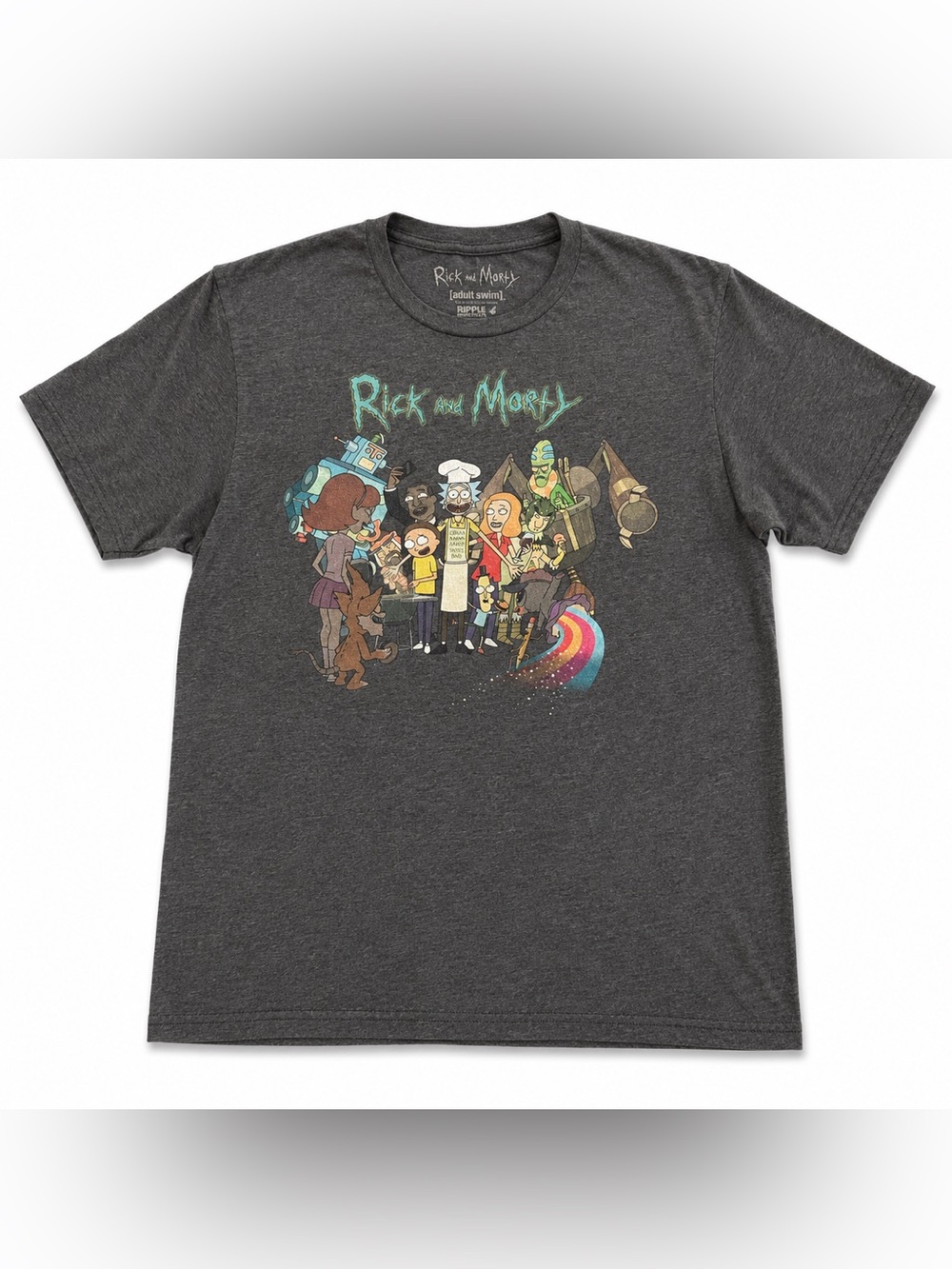 Rick and Morty Adult Swim Group Graphic Tee Gray Large Cartoon Network